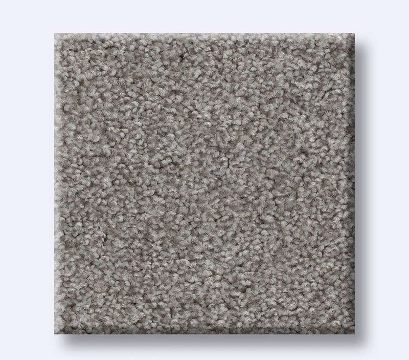 Harmonious III Grey Fox