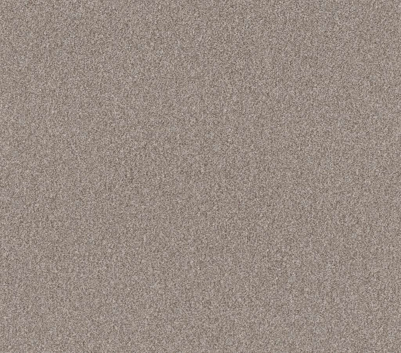 Influencer Baltic Stone