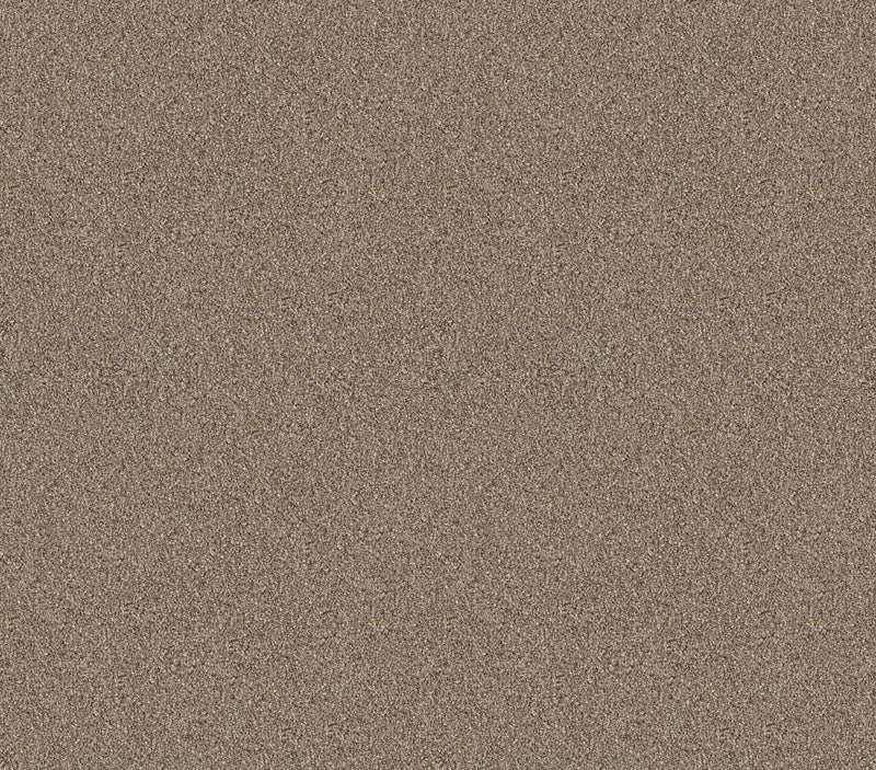 Influencer Raw Wood