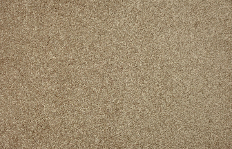 Jewel Mocha Creme