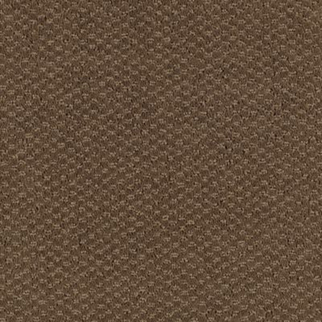 Classic Statement Sequola