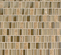 Clio Mosaics Selene