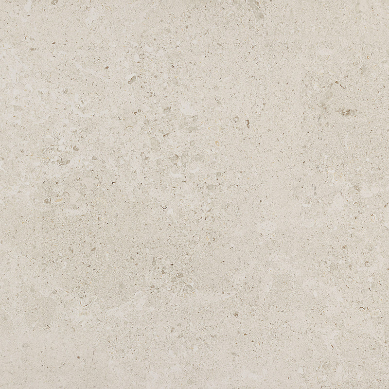 Dignitary Luminary White