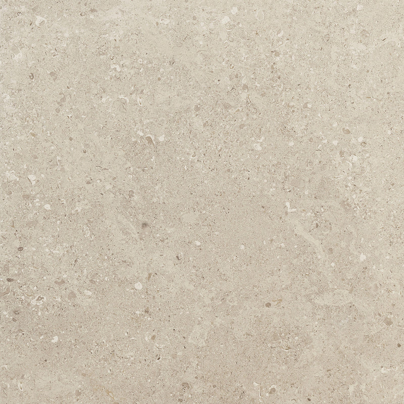 Dignitary Notable Beige