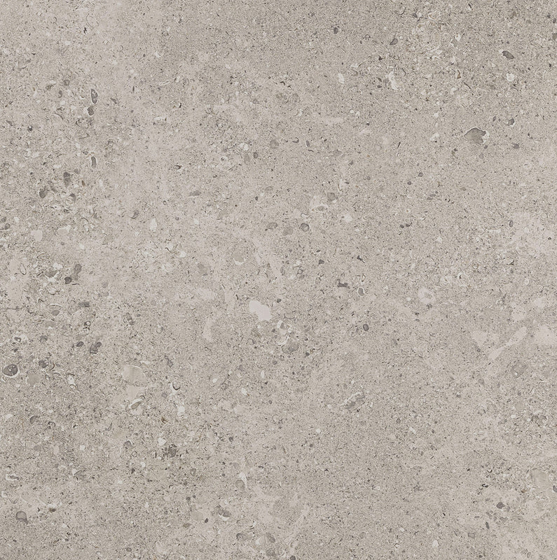 Dignitary Superior Taupe