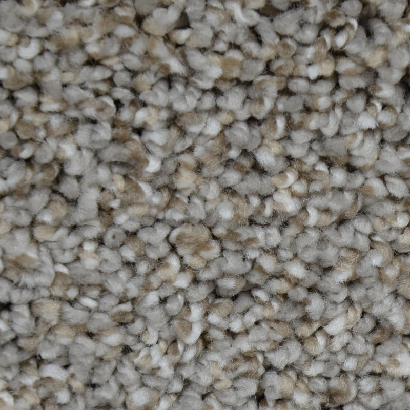 Metropolitan Ash