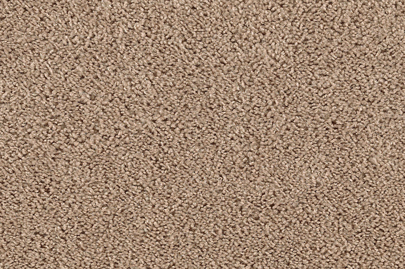 Neutral Ground Brown Sugar