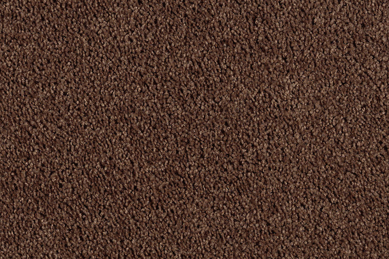 Neutral Ground Coffee Bean