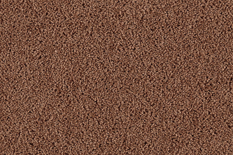 Neutral Ground Nutmeg