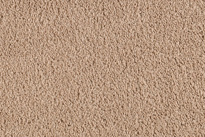 Neutral Ground Whole Grain