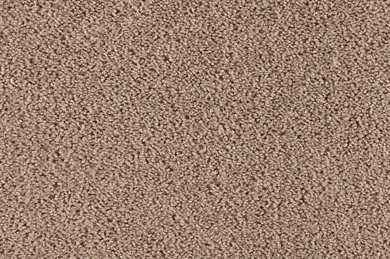 Neutral Ground Woodland