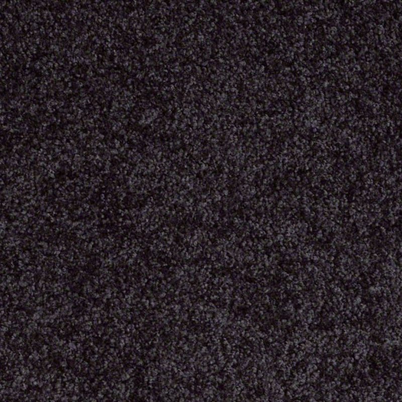 Parlay Nightfall Navy