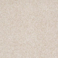 Parlay Sand Dollar