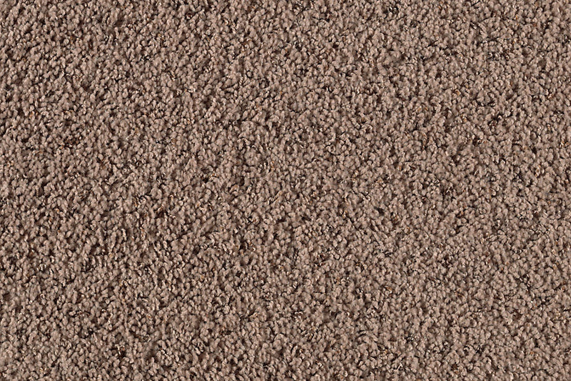 Preferred Choice Fallen Timber