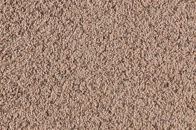 Preferred Choice Sahara