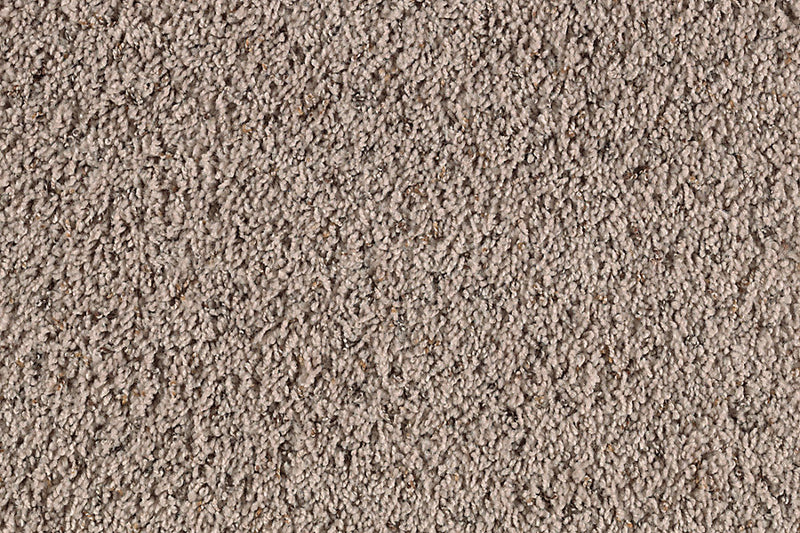 Preferred Choice Tundra