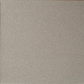 Quarry Tile Arid Gray