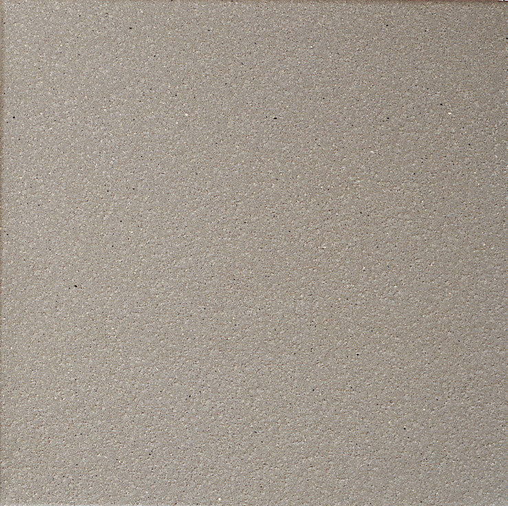 Quarry Tile Arid Gray