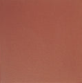 Quarry Tile Red Blaze