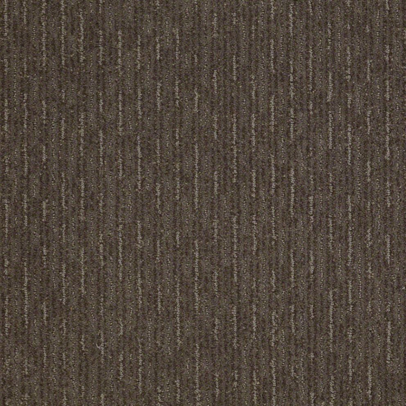 Speed of Light Graphite