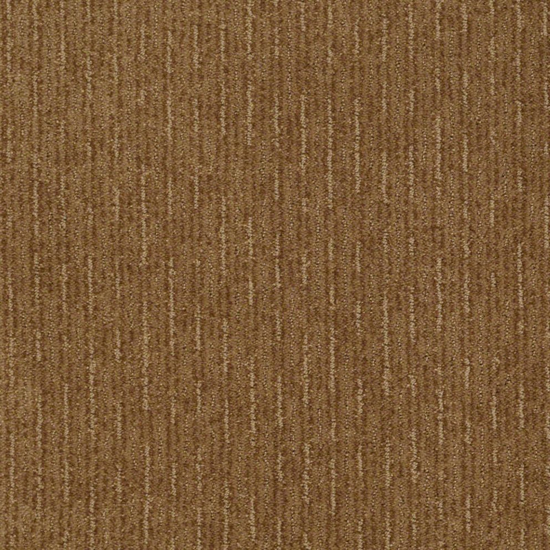 Speed of Light Leather Bound