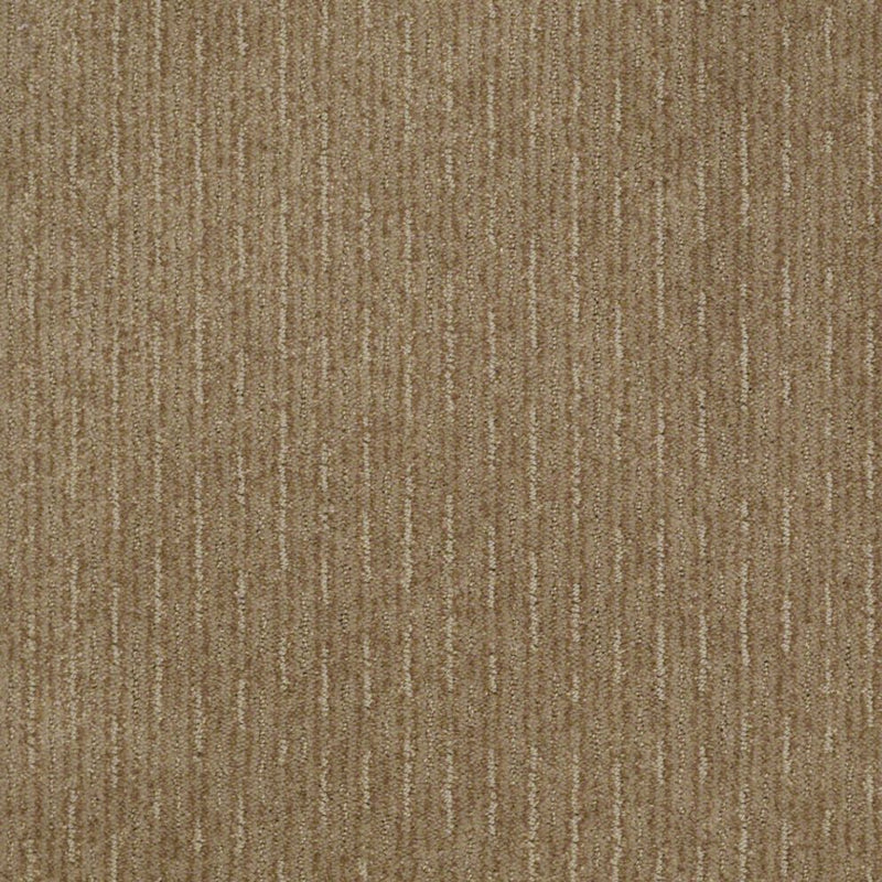 Speed of Light Prairie