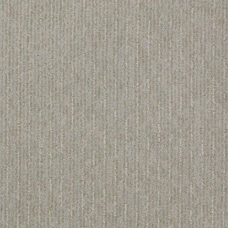 Speed of Light Sea Salt