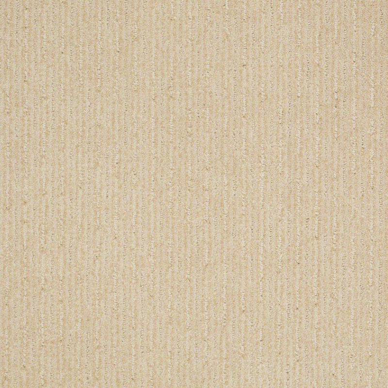 Speed of Light Winter White