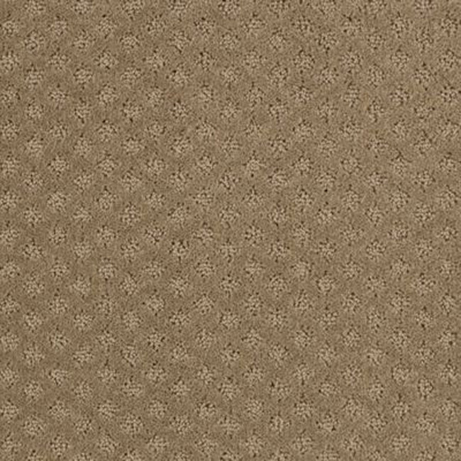 Timeless Artistry Brownstone