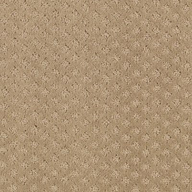 Timeless Artistry Camel