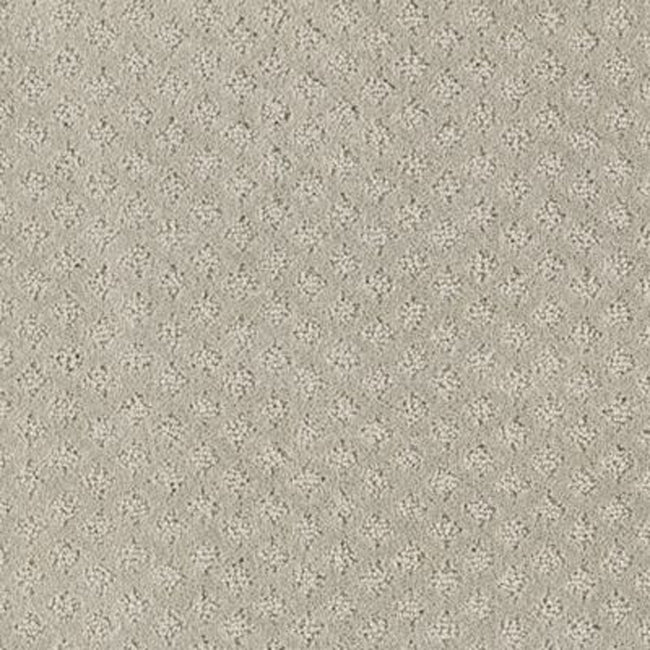 Timeless Artistry Seashell