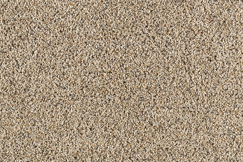 Unprecedented Coastal Beige