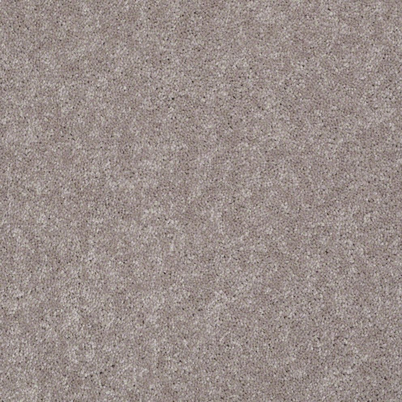 Well Played I II Mocha Frost