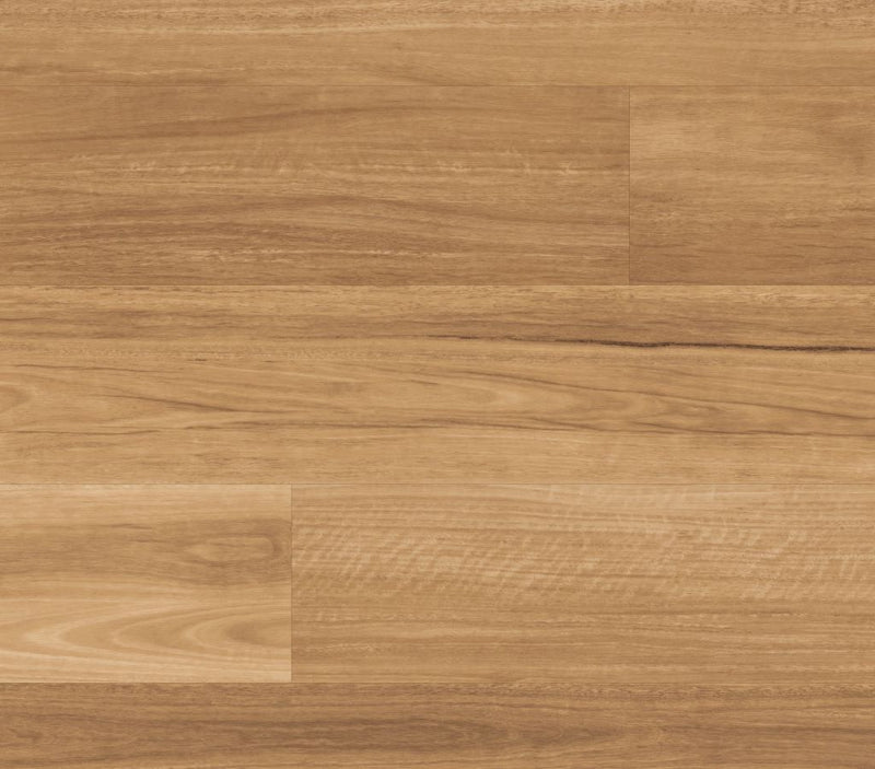 Loose Lay Longboard 10x59 Lemon Spotted Gum