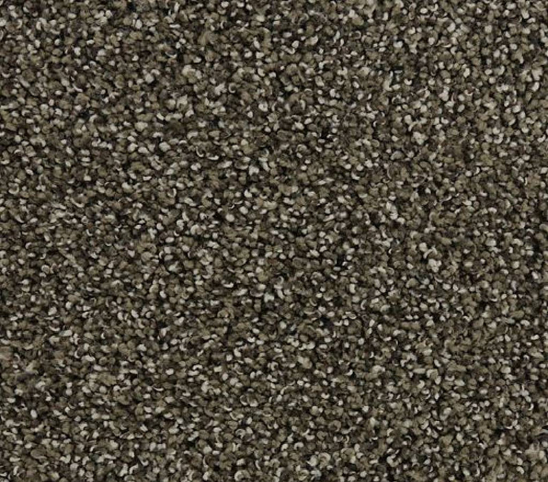 Natural Comfort I Taupe Delight