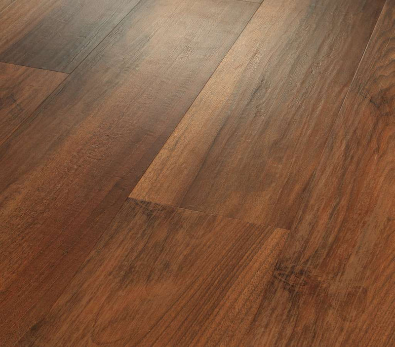 Optimum Amber Oak