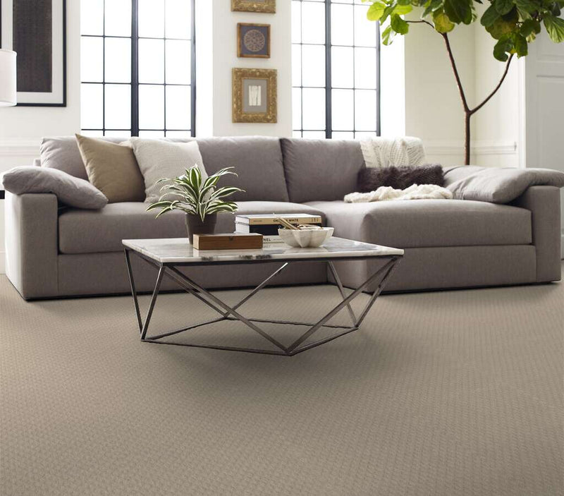 Pace Setter Canvas