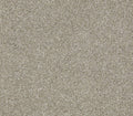 Picturesque Gray Flannel