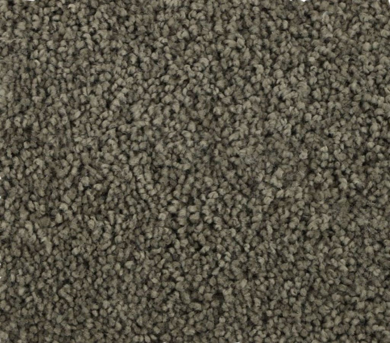 Sleek Appeal Moon Rock