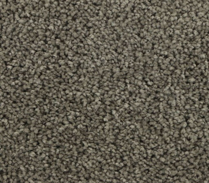 Sleek Appeal Urban Putty