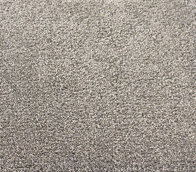 Solid Goldy Ashely Gray