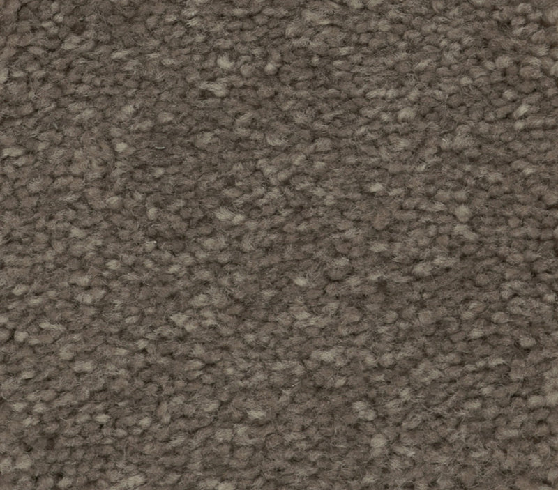 Solidify I Pewter