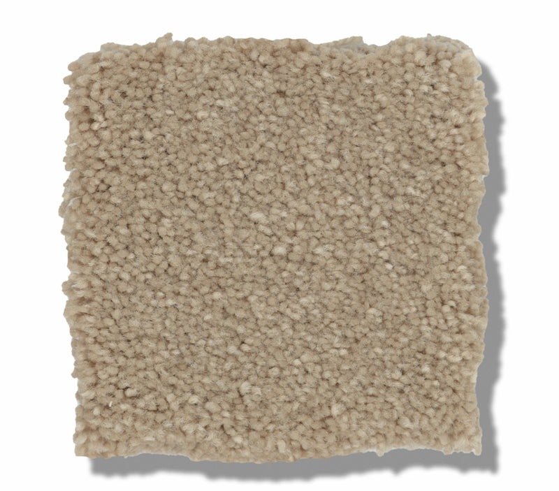 Solidify I Raw Lumber
