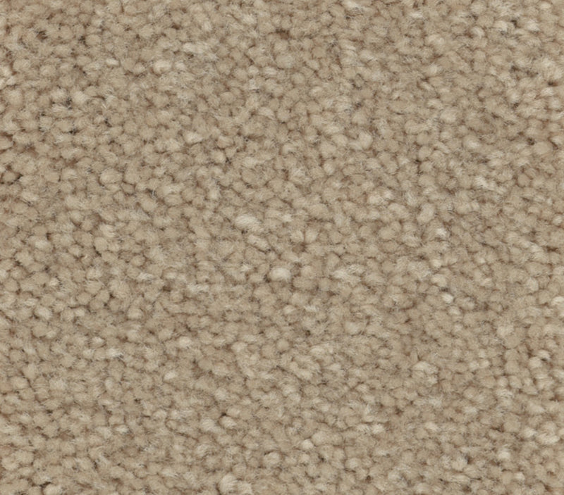 Solidify I Raw Lumber