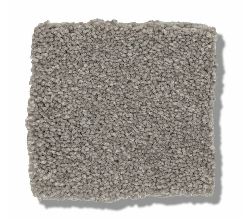 Solidify I Taupe Stone