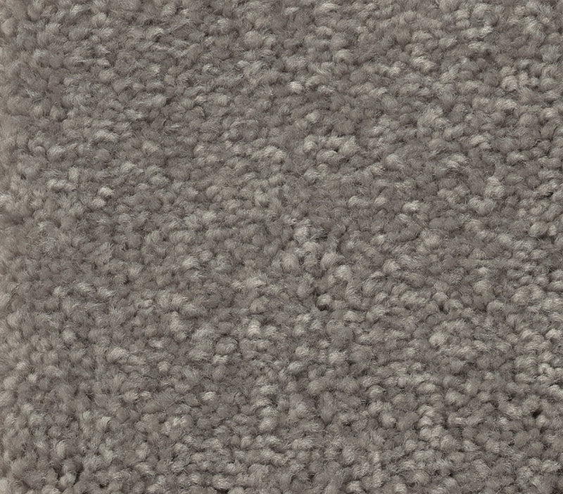 Solidify I Tree Bark