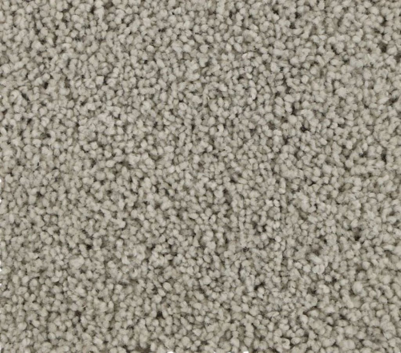 Striking Allure Classic Silver