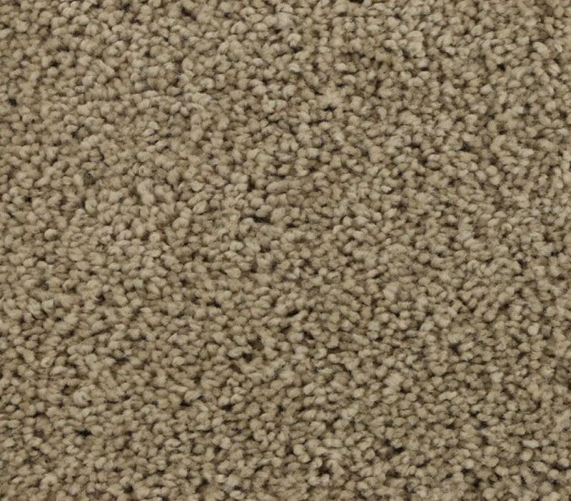 Striking Allure Neutral