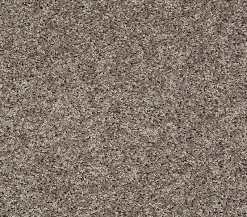 Venture Solid Charcoal