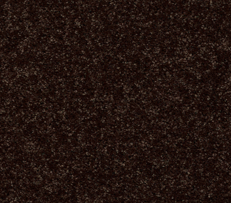 Venture Solid Coffee Bean